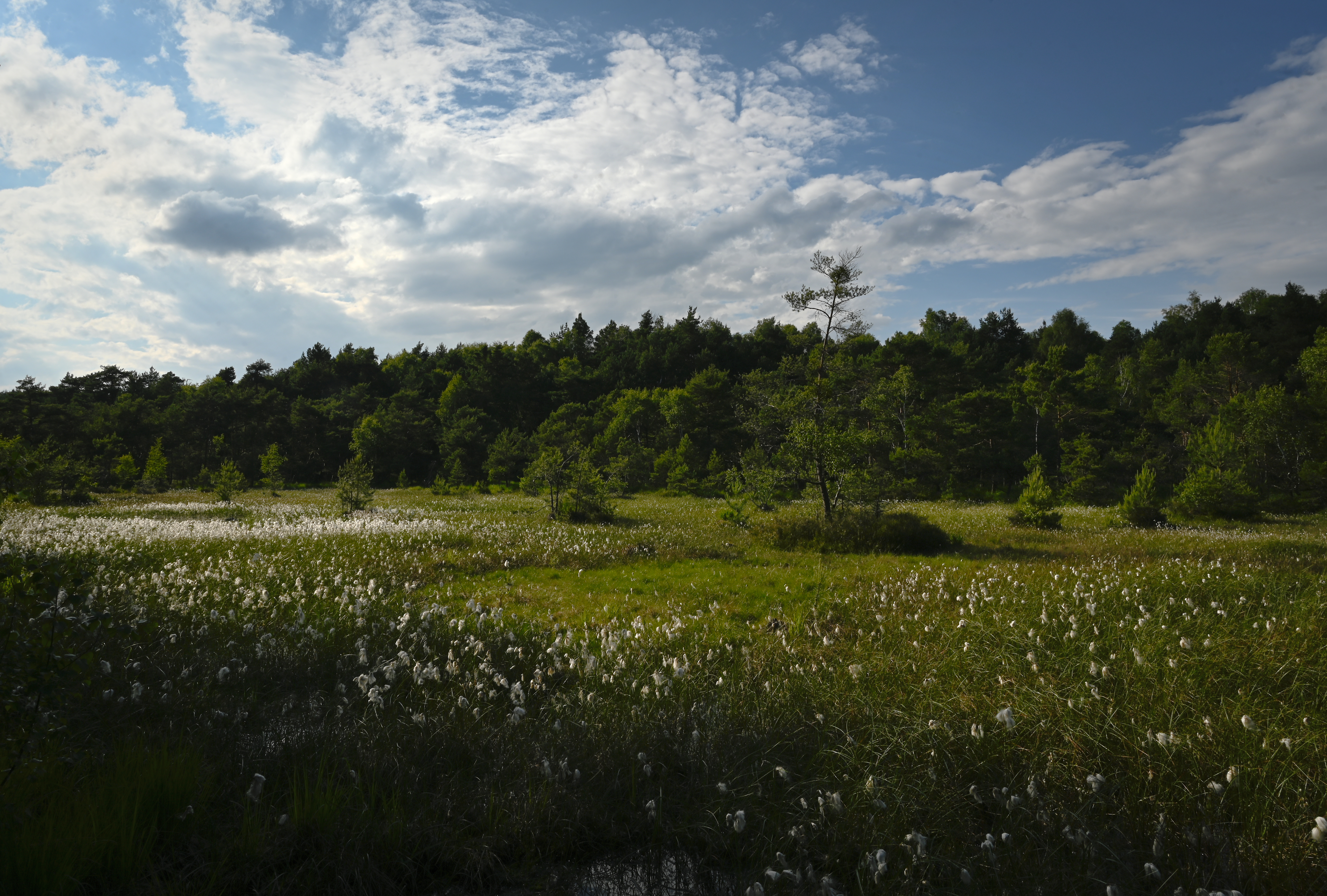 Landschaft Sammlung